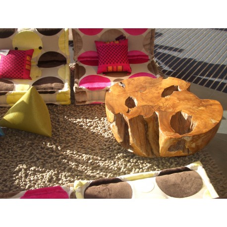 Bois pétrifié table basse1
